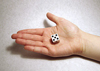 16mm dice size
